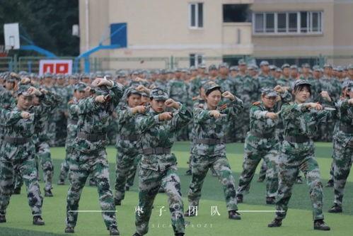军训汇演视频,青春热血，砥砺前行