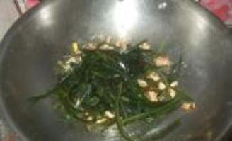 炒海带视频,炒海带视频教程，轻松学会海带炒制技巧