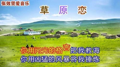 草原恋视频,悠扬牧歌中的民族风情画卷